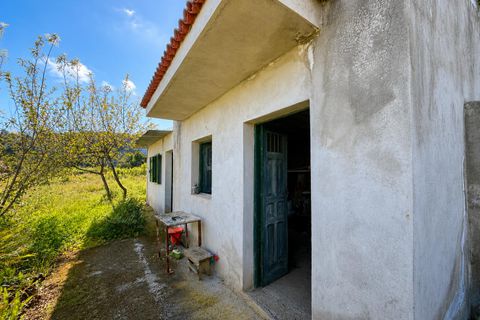 Finca in La Florida, Tenerife - Foto 4